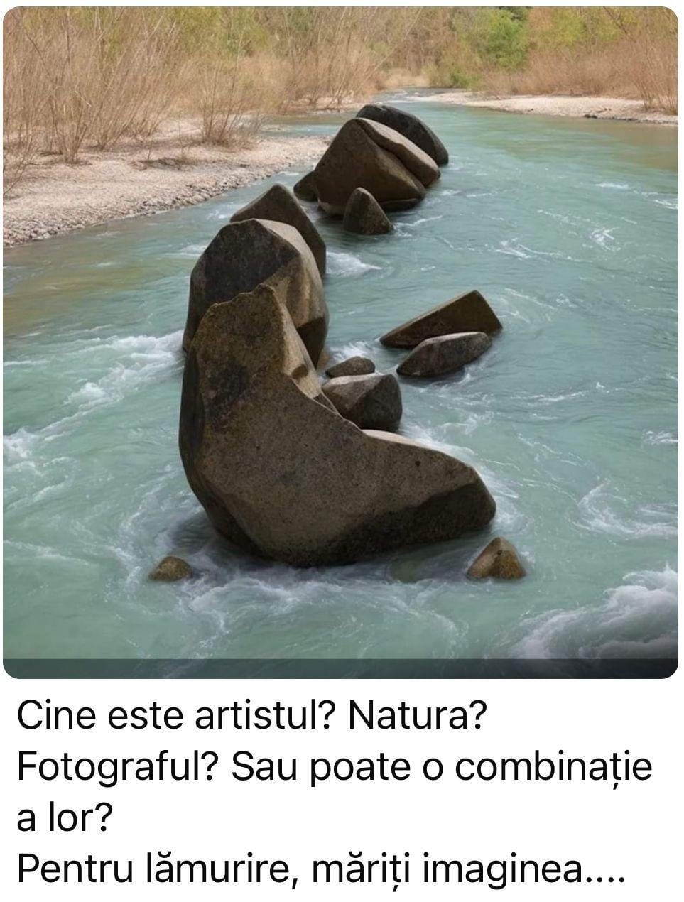 Cine este artistul? Natura? Fotograful? Sau poate o combinație a lor? Pentru lămurire, mărește imaginea....